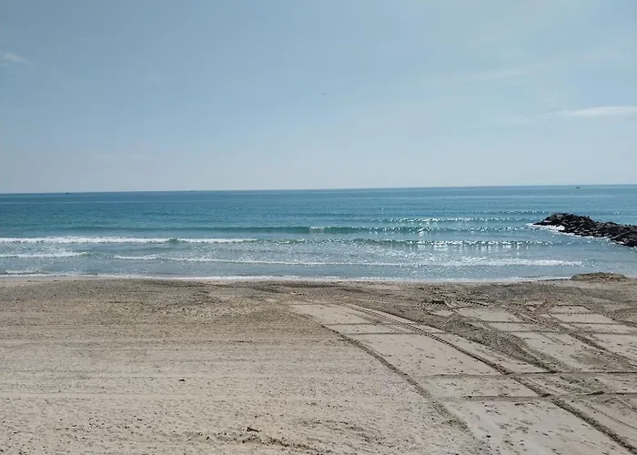 Apartamento Les Pieds Dans L'eau Yourhosthelper Palavas-les-Flots